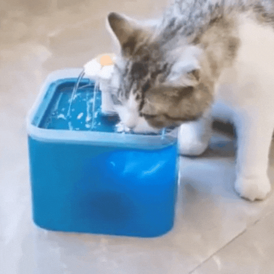 Fuente de agua para perro y gato
